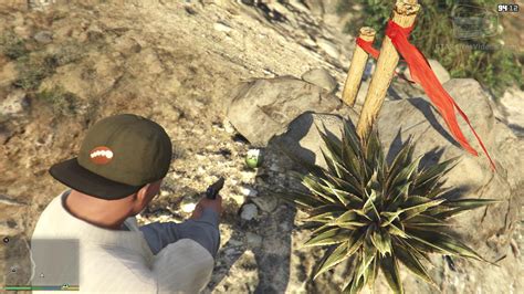 Use the varmint rifle to get a perfect kill. GTA Series Videos on Twitter: "In #GTAVNextGen there are 27 peyote plants to collect that let ...