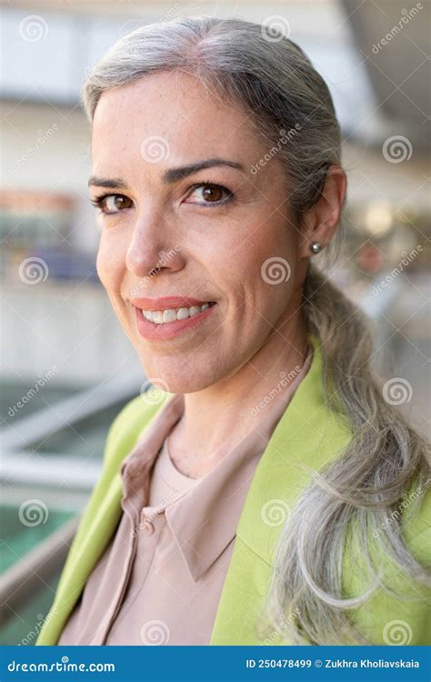 attractive grey haired businesswoman stock image image of stylish modern 250478499