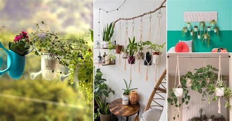 12 Hacks To Hang Plants Without Damaging Your Ceiling Or Wall