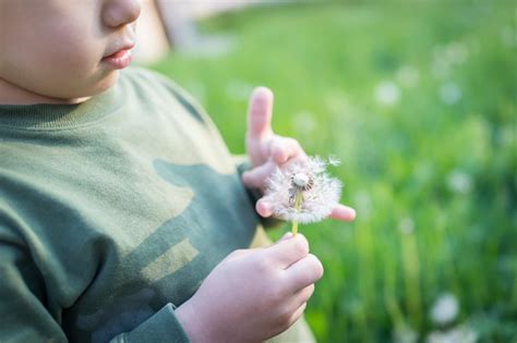 Premium Photo Kid Blowing Dandelion Flower