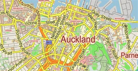 Auckland New Zealand Map Vector Exact Low Detailed City Plan Editable