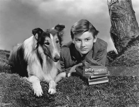 Actor Roddy Mcdowall With Lassie In The 1943 Film Lassie Come Home