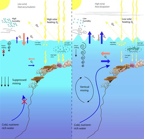 Frontiers Marine Heatwave Hotspots In Coral Reef Environments