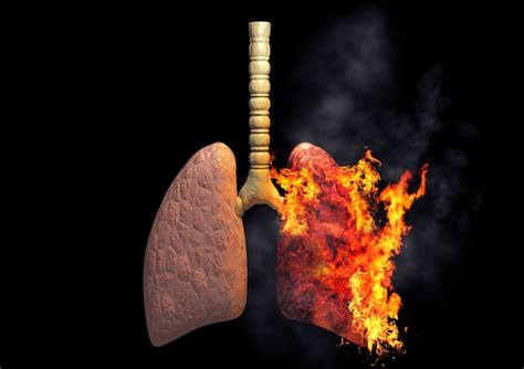 Premium Photo Smokers Lungs On Fire From Excessive Use Of Cigarettes