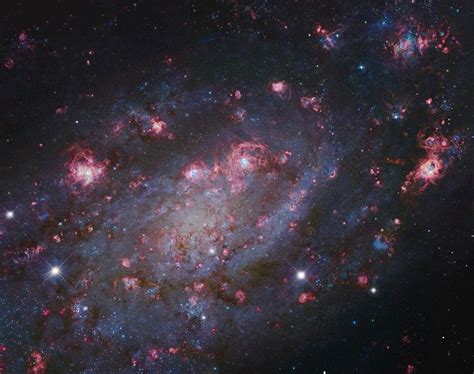 Annes Picture Of The Day Spiral Galaxy Ngc 2403 Space Before Its