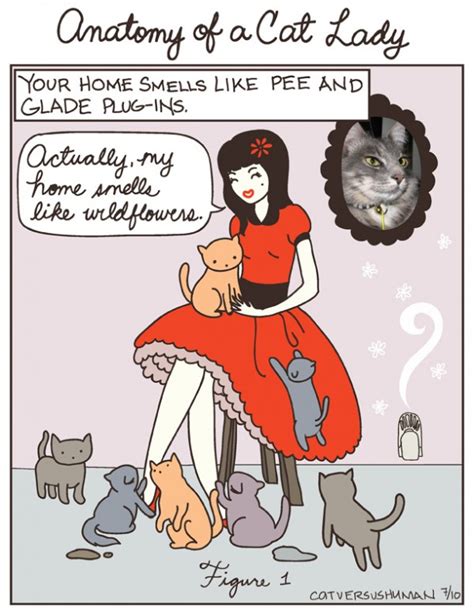 Cat Lady ‘toons Hit A Little Close To Home Catster