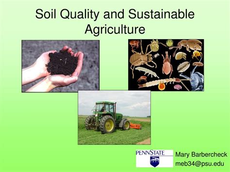 Ppt Soil Quality And Sustainable Agriculture Powerpoint Presentation