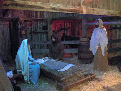 Sweet William The Scot Crib Of The Nativity And Christmas Eve