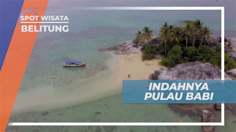 Bersantai Menikmati Suasana Pulau Babi Sambil Bermain Floaties Belitung
