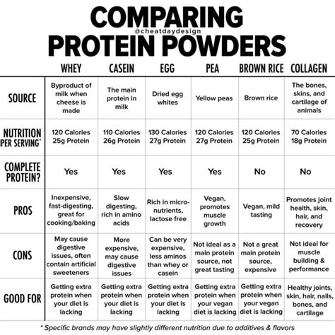 Which Is The Best Protein Powder For Baking Visual Guide