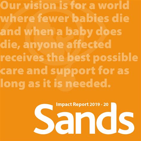Sands Impact Report 201920 Sands Saving Babies Lives Supporting
