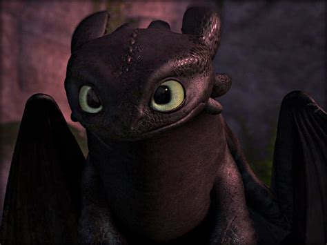 How To Train Your Dragon Toothless Cute