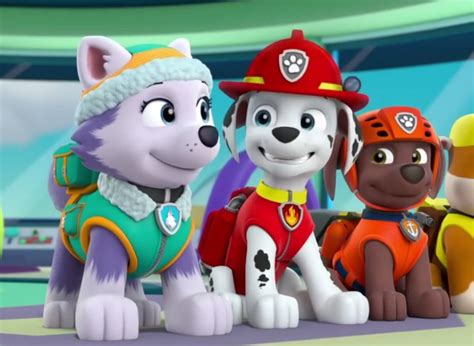 Marshall And Everest Paw Patrol Animated Couples Photo 40131005