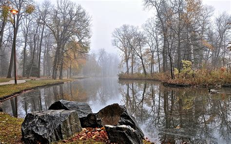 1080p Free Download Fog On The Autumn Lake Rocks Autumn Park