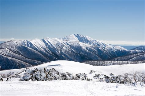 Mount Feathertop Vacation Rentals Aus House Rentals And More Vrbo