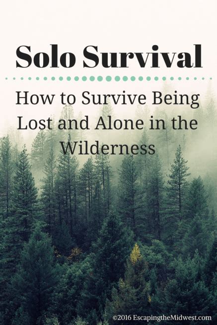 Solo Survival How To Survive Being Lost And Alone In The Wilderness