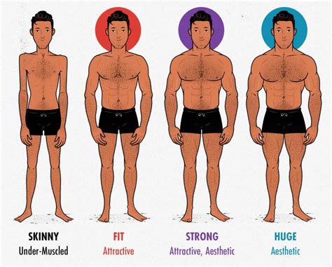 the skinny guy s guide to aesthetics how to build an attractive physique