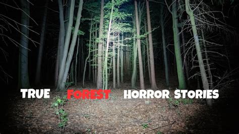 3 True Spooky Forest Scary Stories Youtube