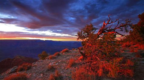 Nature Landscapes Mountains Canyon Valley Color Sunset Sunrise Sky Clouds Bushes