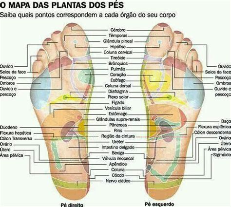 Mapa da planta dos pés Reflexologia Massoterapia Massagem