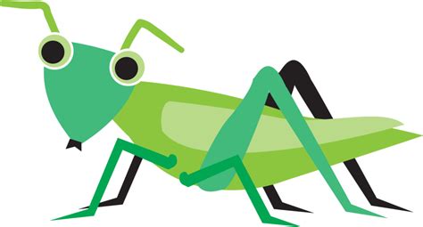 Grasshopper Clipart Information Grasshopper Information Transparent