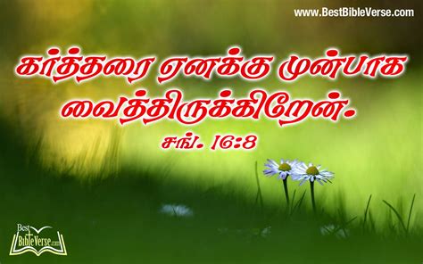 Tamil Bible Words Images Free Download Memmiblog