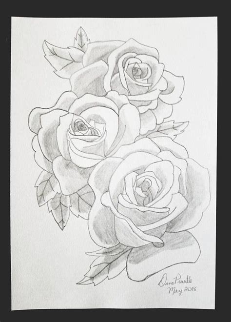 Rose Bunch Drawing Three Rose Heads Drawing Roses Drawing Rose Wall Art