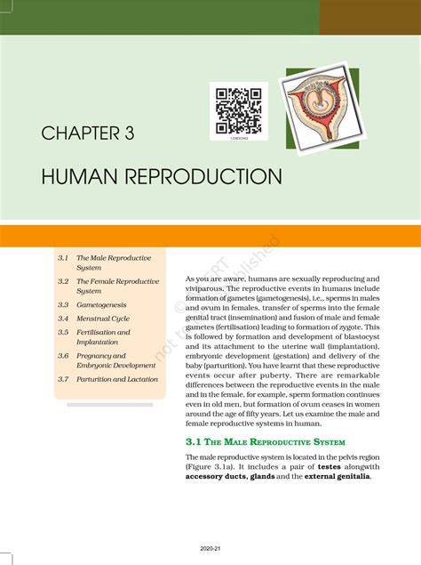 Human Reproduction Ncert Book Of Class 12 Biology