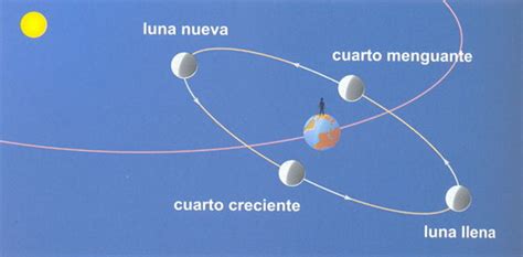 Mis Alumnos Del Ceip Virginia P Rez Fases De La Luna