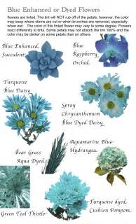 Flower Names By Color Hayleys Wedding Tips 101
