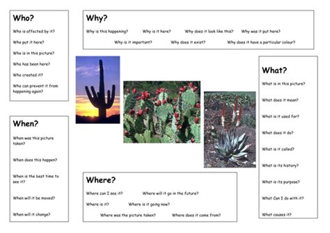 Deserts And Plant Adaptations Teaching Resources