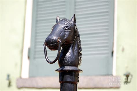 Horse Head Pole Hitching Post Macro French Quarter New Orleans