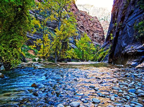 Virgin River In Zion Canyon Narrows In Zion National Park