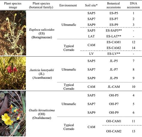 Plant Species Accessions And Corresponding Identification Codes