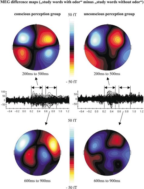 Non Conscious Brain Processes Revealed By Magnetoencephalography Meg