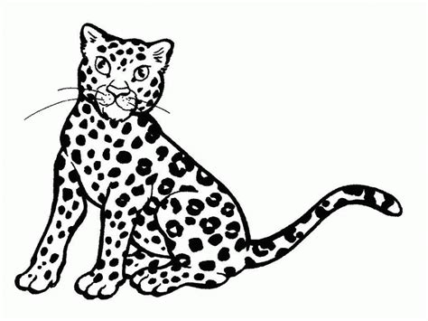 Baby Cheetah For Coloring Pages Coloring Home