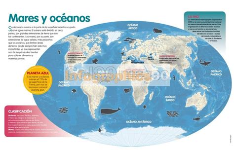 Infografía Mares Y Océanos Infographics90