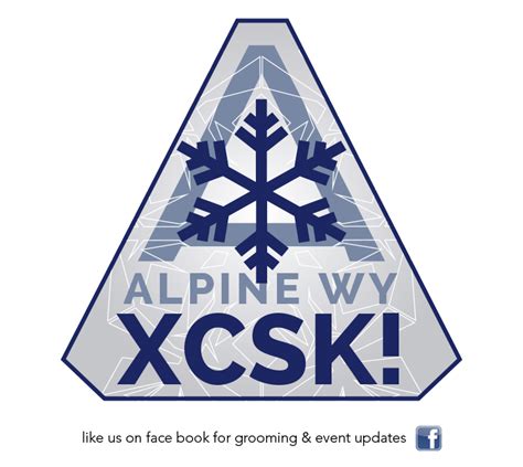 alpine cross country ski association | Cross country skiing, Cross country, Skiing