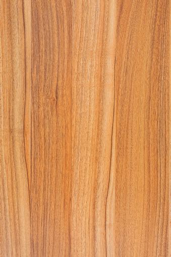 Blank Wood Grain Background Tedtured Stock Photo Download Image Now Istock