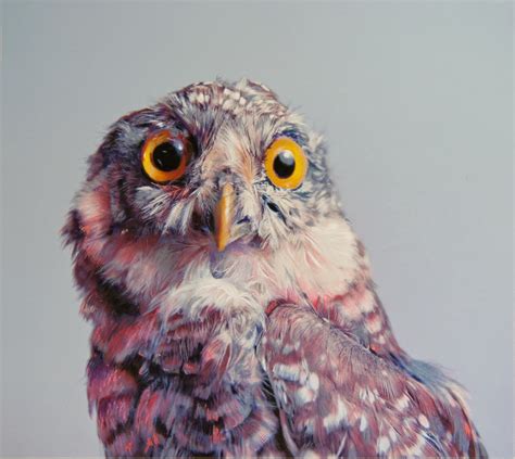 Simply Creative Hyper Realistic Owl Drawings By John Pusateri