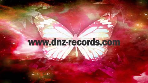 Dnz Buzzed Fly Instrumental Mix Official Video Dnz Records