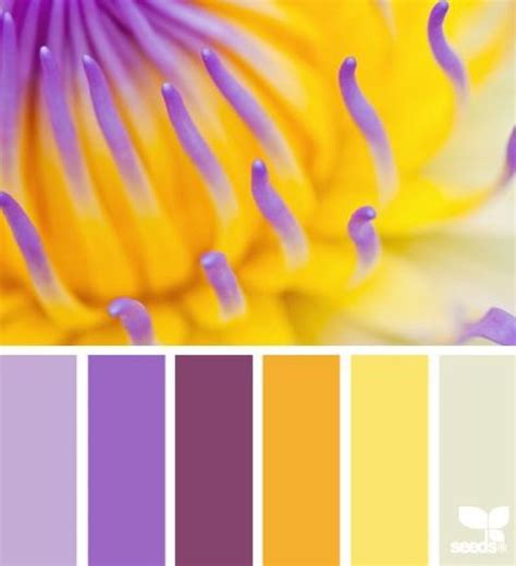 Purple And Yellow Color Palette Interior Design Inspiration Color