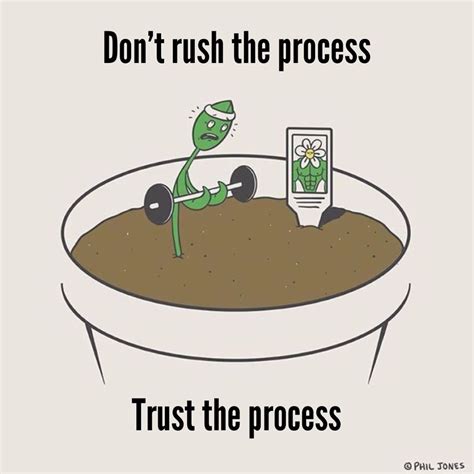 Dont Rush The Process Trust The Process Notanotherquote Pinterest