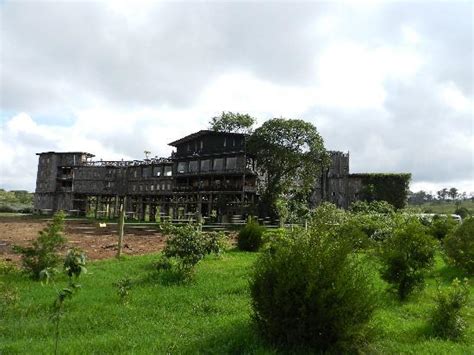 Treetops Lodge Kenyaaberdare National Park Hotel Reviews Tripadvisor