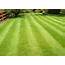 Lawn Care  Horizon & Landscaping Youngstown Ohio
