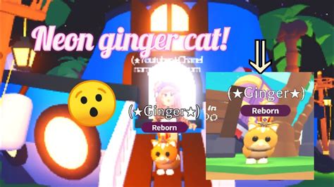 Making Neon Ginger Cat In Adopt Me Roblox Youtube