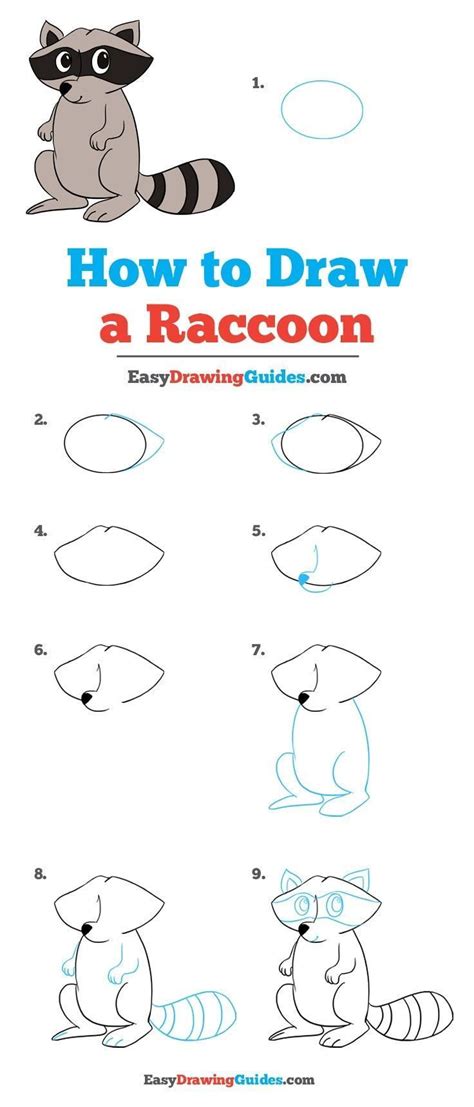 How To Draw A Raccoon Step By Step Easy At Drawing Tutorials