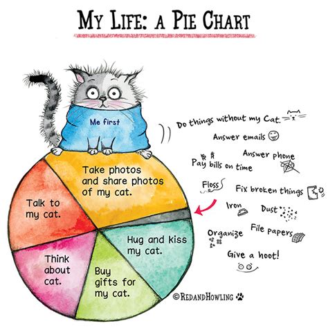 Where To Pet A Cat Chart