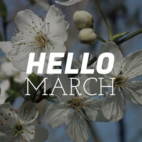 Flowers March And Month Image Hello March New Month Wishes March