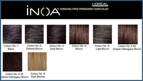 L Oreal Professionnel INOA Ammonia Free Odourless Permanent Hair Color